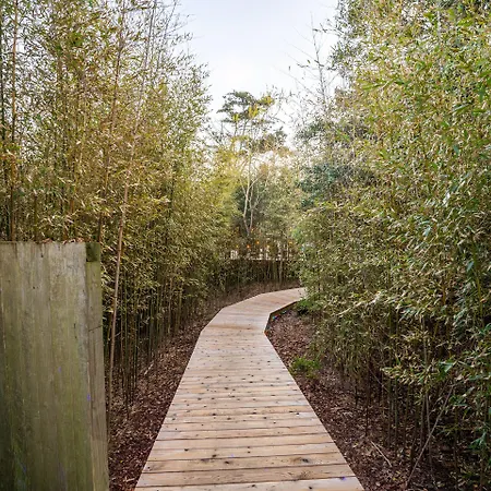 The Madison Fire Island Pines-3