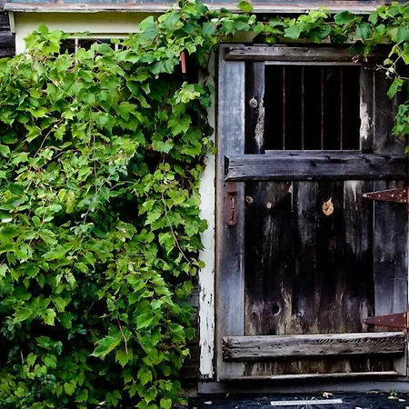 Gedney Farm-3