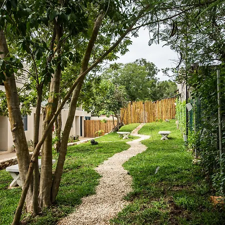 Waye Valladolid Centro - Sustainable, Authentic Experiences&Pet Friendly Boutique Hotel-3