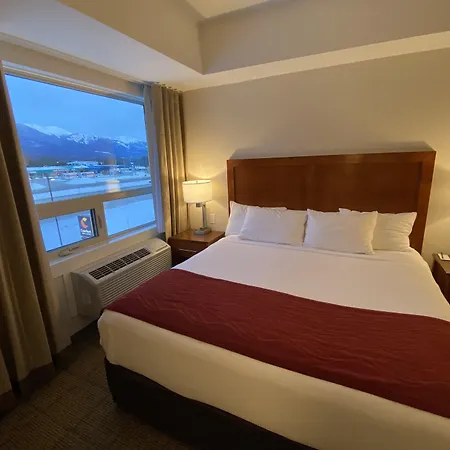 Comfort Inn & Suites-3