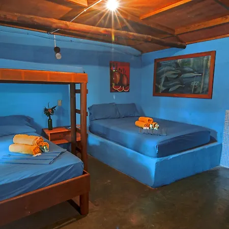 Hotel El Delfin-2