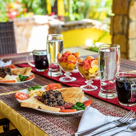 La Terraza Guest House B&B-2