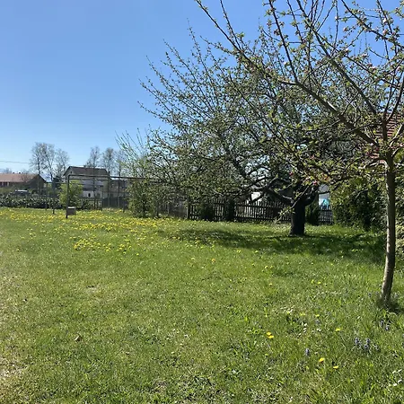 Gasthof Graf-3