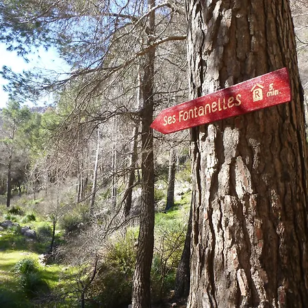 Finca Ses Fontanelles-3