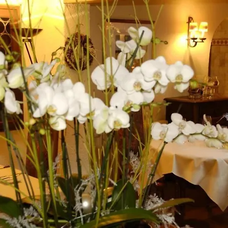 Auberge Saint Laurent-3