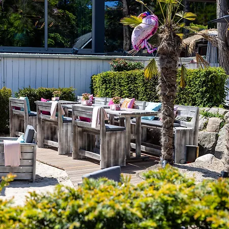 The Flamingo-3