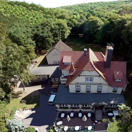 Hotel Garni am Schlosspark-2
