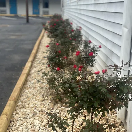 Green Garden Inn-2