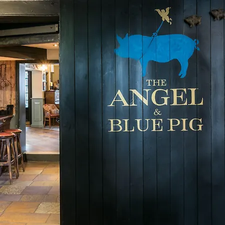 The Angel & Blue Pig-3