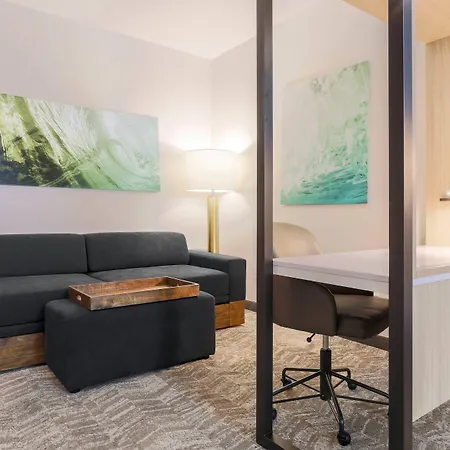 Springhill Suites By Marriott Tallahassee North-3