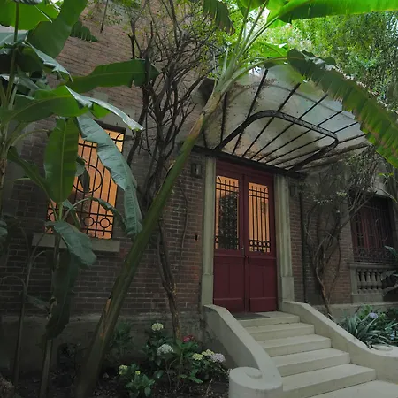 Maison Du Comte-2