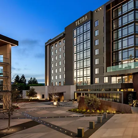 Tetra Hotel, Autograph Collection-3