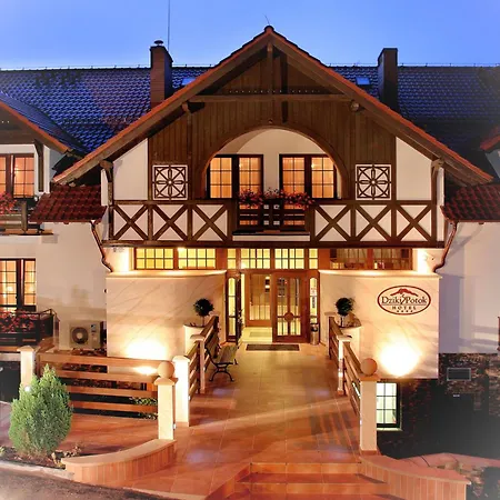 Hotel Dziki Potok Karpacz-2