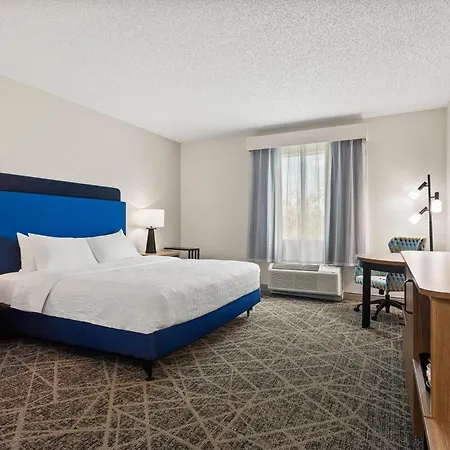 Hampton Inn & Suites Port Richey-3