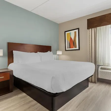 Best Western Plus Suites Greenville-3