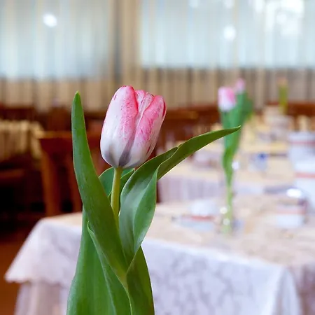 Hotel Marconi-3