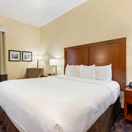 Comfort Inn & Suites North Aurora - Naperville-3