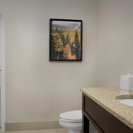 Hampton Inn & Suites Denver Tech Center-3