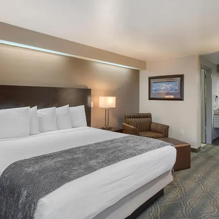Surestay By Best Western Salt Lake City Downtown-3