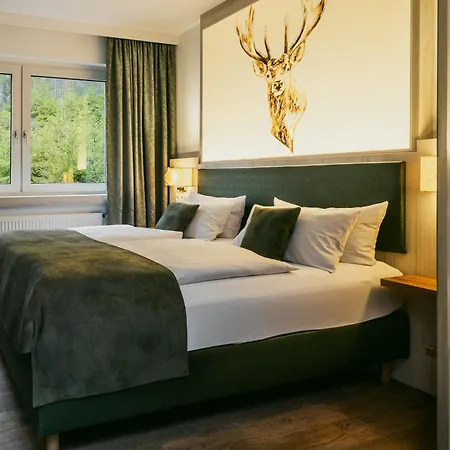 Waldhotel Ehrental-3