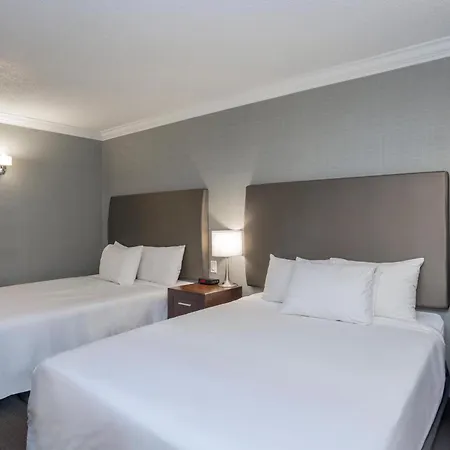 Sandman Hotel Revelstoke-3