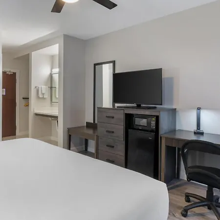 Hom Hotel Gainesville, Surestay Collection By Best Western-3