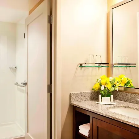 Residence Inn By Marriott Boston Back Bay/Fenway-3