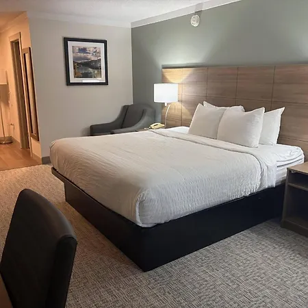 Quality Inn & Suites Whitehorse-2