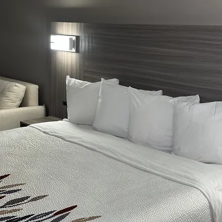 Red Roof Inn & Suites Middleborough-3