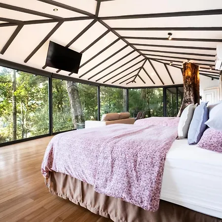 Dantica Cloud Forest Lodge-3