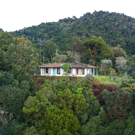 Dantica Cloud Forest Lodge-2