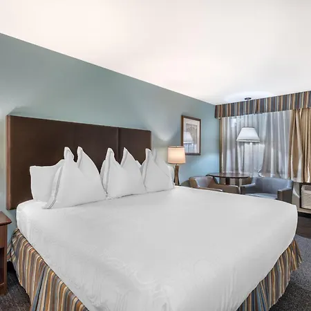 Best Western Windsor Inn-2