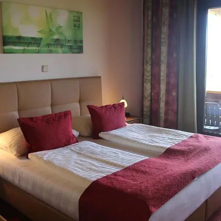 Hotel Fasching-3