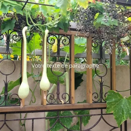 Villa Mimosa-2