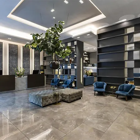 York Medellin, Curio Collection By Hilton-3