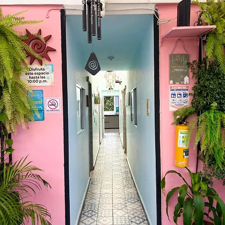 Hotel Anauco-3