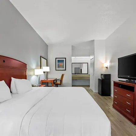 Quality Inn Weeki Wachee - Spring Hill-3