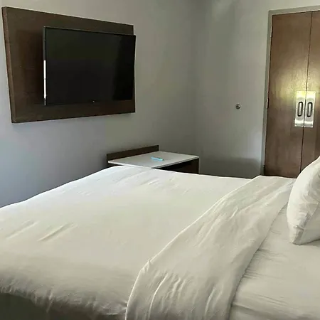 Comfort Inn & Suites Near Lake Guntersville-2