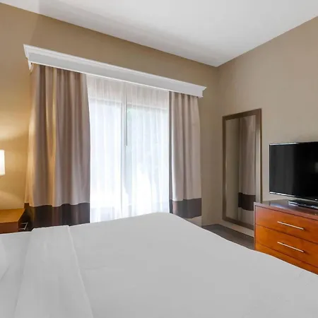 Comfort Inn & Suites Peachtree Corners - Norcross-3
