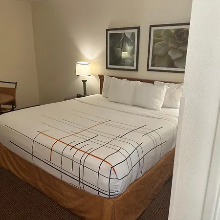 La Quinta Inn & Suites By Wyndham Sawgrass-3