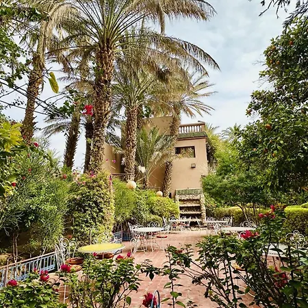 Chez Ali Zagora Authentic Hotel Restaurant And Desert Excursions-2