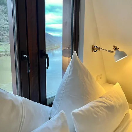 Hotel Villa Vie Cochem-3