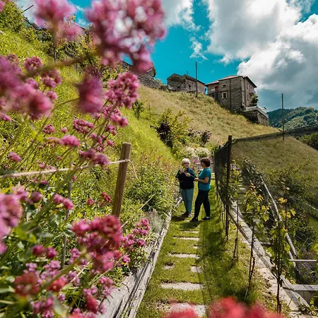 La Casa dei Gelsi - Panorama Lodge MONTE GENEROSO-3