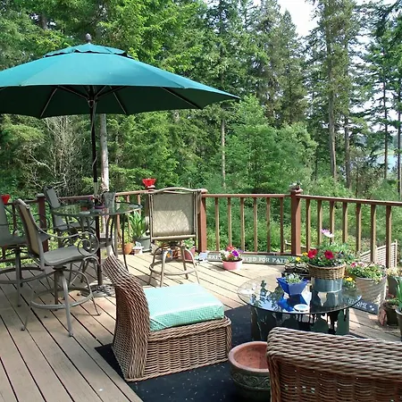 Inn To The Woods-2