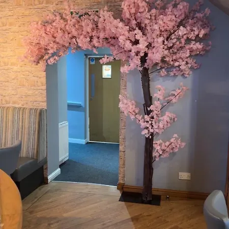 The Courtyard Bar, Kitchen, Rooms-3