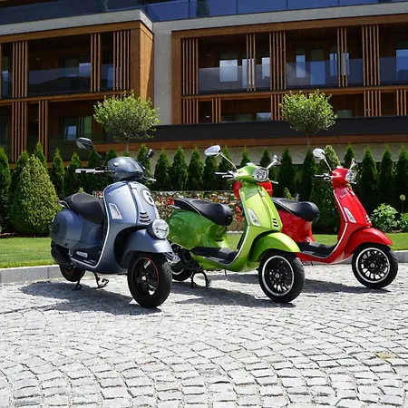 Hotel Alpen Tesitin Dolomites Spa Resort-2