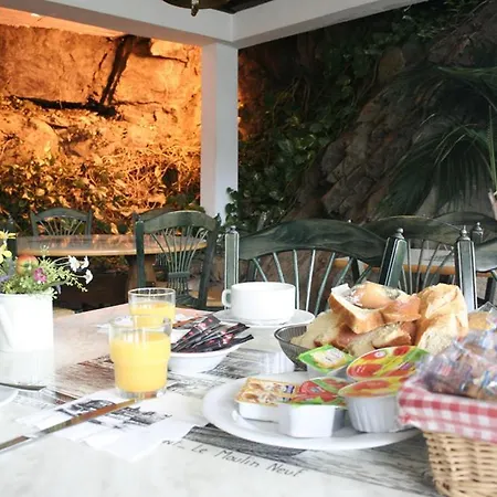 Logis Cosy - Hôtel Le Moulin Neuf - Chantonnay-3