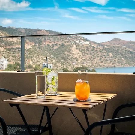 Zeus Eleva Miraya (Adults Only)-2