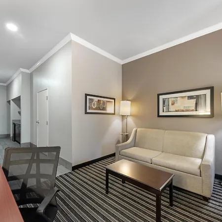 Best Western Plus Austin Airport Inn & Suites-3