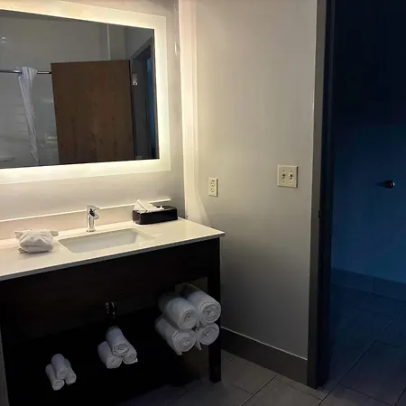 Comfort Inn & Suites Near Lake Guntersville-3